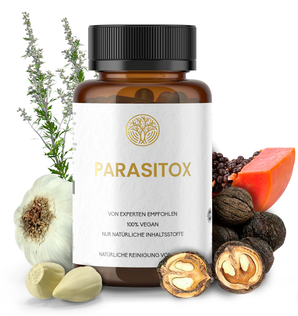 Parasitox mit Inhaltsstoffen neues Label März2025